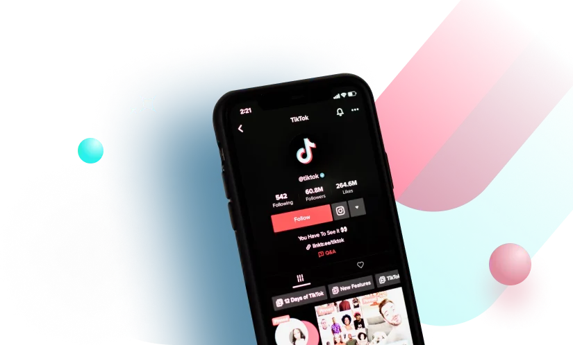 TikTok Partnership